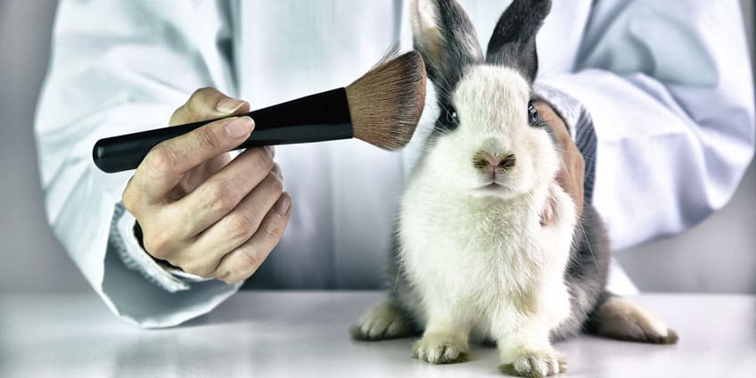 The Truth About Animal Testing Blog