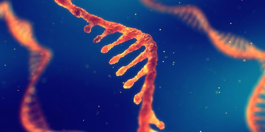 DNA and RNA differences DNA and RNA differences