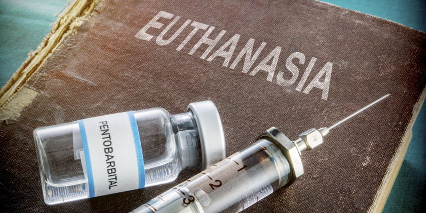 How to Write My Essay About Euthanasia | Coolessay.net