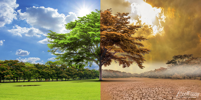 Global Warming Global Warming