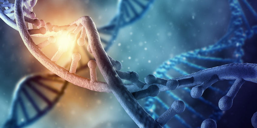 What Does DNA Stand For? | Coolessay.net